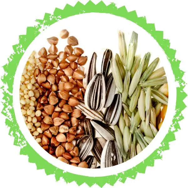 Cereals-धान्य - Nutrixia Food