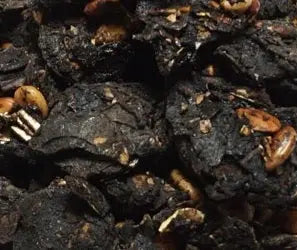 Amaltash Guda - अमलताश गूदा -Amlatas Gudha-Amaltas Phali Pulp