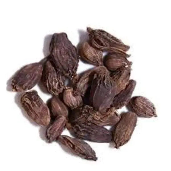 Black Cardamom / काली इलाइची / Amomum subulatum Roxb