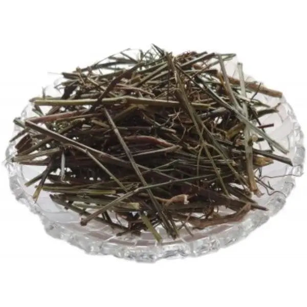 Kalmegh / कळमेघ / Chirayta Hara / Andrographis Paniculata