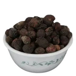 Jamun Guthali / जामुन घुटली / Eugenia Jambolana / syzygium cumini / Jambul Seed