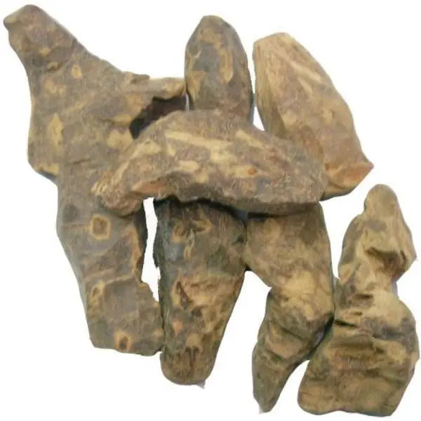 Chobchini / चौबचीनी / Smilax Glabra