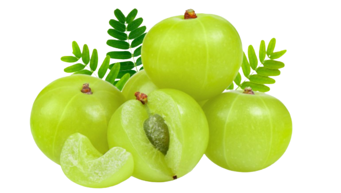 Amla Tablet/ Awala / Aamla / Indian Gooseberry / Emblica officinalis/Awla