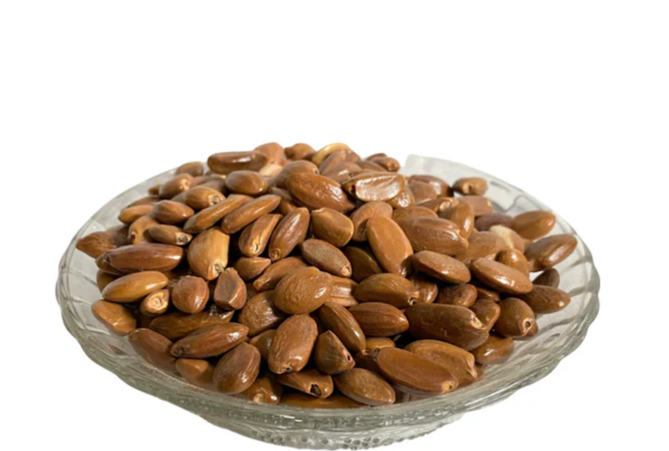 Borsali seeds Beej- Bakul - Maulsari - बकुल - Mimusops elengi-Bolsari Bakal Nutrixia