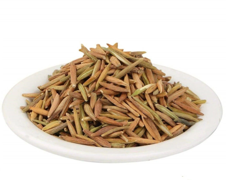 Indrajav Meetha Sweet- Indrajau - Indrajav Seeds Holarrhena Pubescens Seeds