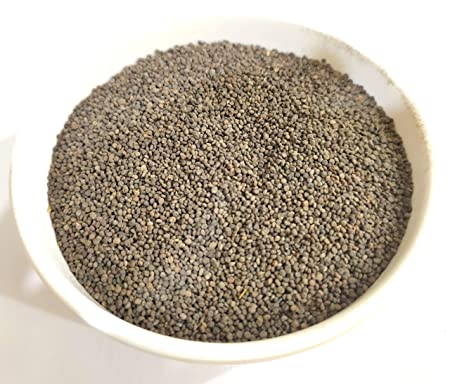 Khurasani Ajwain - Khurasani Ajwaain - खुरासानी अजवाईन - Hyoscyamus Niger -Nutrixia Food Other Names: Banj Aswad, Shawkaraan, Khuraasaanee Ajwa’een, Korasani Ajowan, Henbane, Black Henbane, Stinking Nightshade, Devil’s Eye, Henbell, Jusquiame noire, Bilsenkraut, Dullkraut, Khurasani Ajmo, Khurasani Ajwain, Khursana, Khurasanee Ajawaana, Khurasanee Ova, Bang, Bangdiwana, Danj, Khurasanee Ajvain, Parasikava, Yavni, Ajwain Khurasani, Bazrulbanj, Khorasani, Ajwaien, Ajwayn, Azwain, Ajwaen