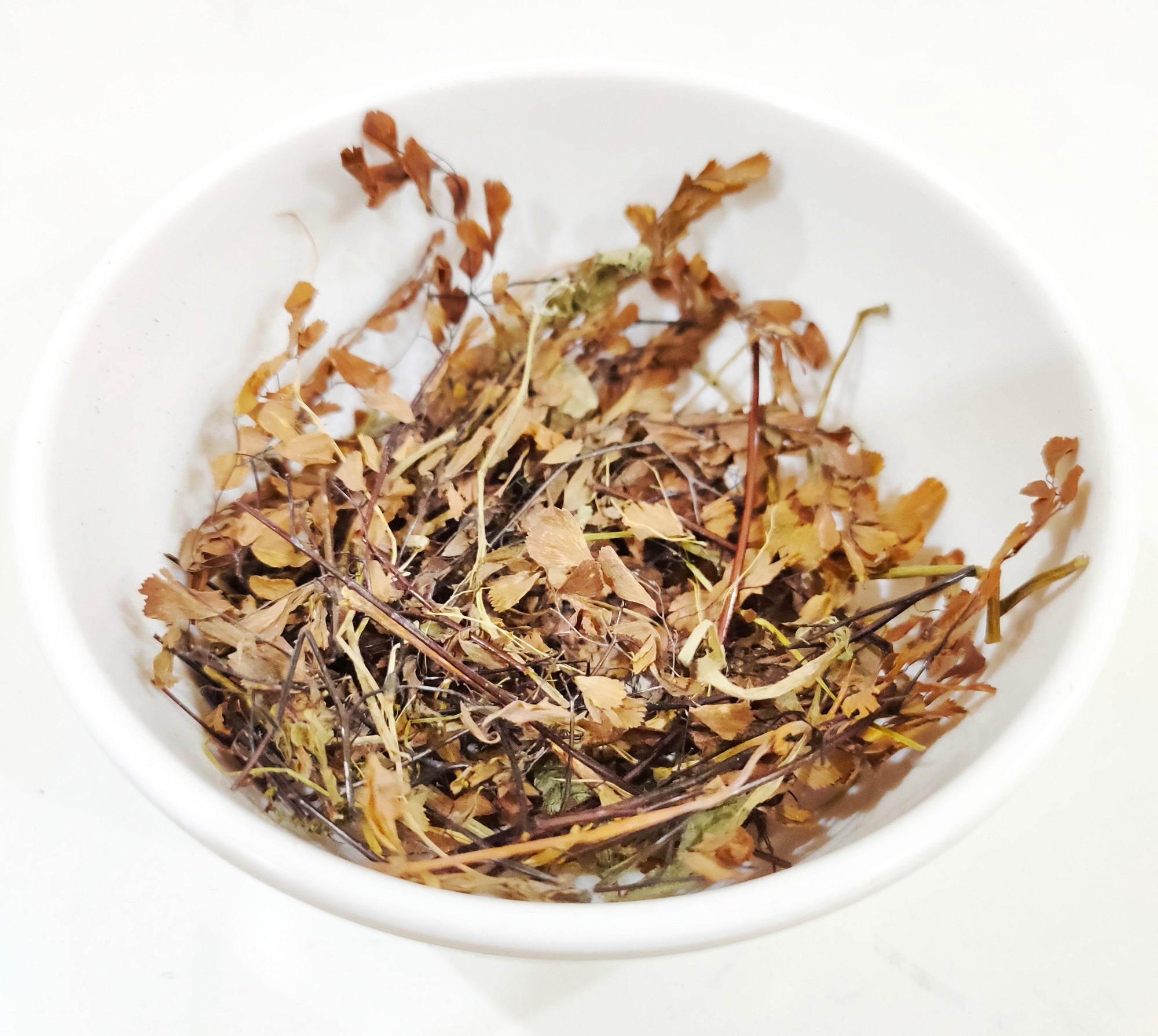 HANSRAJ - हंसराज - PERSHOSHA - ADIANTUM CAPILLUS VENERIS -Nutrixia Food English : Maiden Hair, Hindi : Hanspadee, Hansaraj, Sanskrit : Hamsapadi, Raktapadi, Kitamata, Tripadika, Assamese : Sharul Arj, Sharujeena, Parsiyav, Bengali : Kali Jhat, Gujrati : Hansaraja, Kannada : Hamsapadi, Marathi : Hamsaraj, Punjabi : Hamsaraj, Telgu : Hamsapadi.