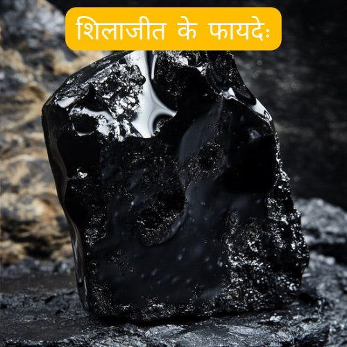 श-ल-ज-त-क-फ-यद-श-ल-ज-त-क-उपय-ग-क-स-कर-स-इड-इफ-क-ट-स Nutrixia Food