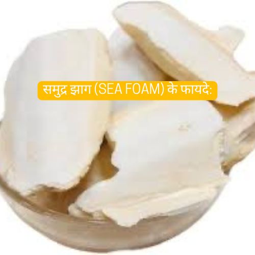 सम-द-र-झ-ग-Sea-Foam-क-फ-यद-samundar-jhag-samudri Nutrixia Food