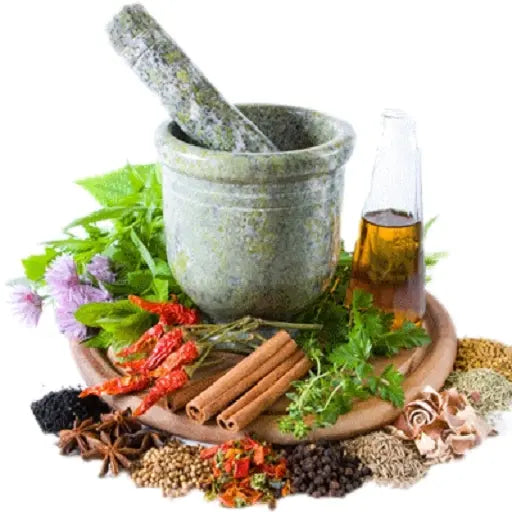 Exploring the Healing Power of Indian Jadi Booti: An Ayurvedic Treasure Trove Nutrixia Food