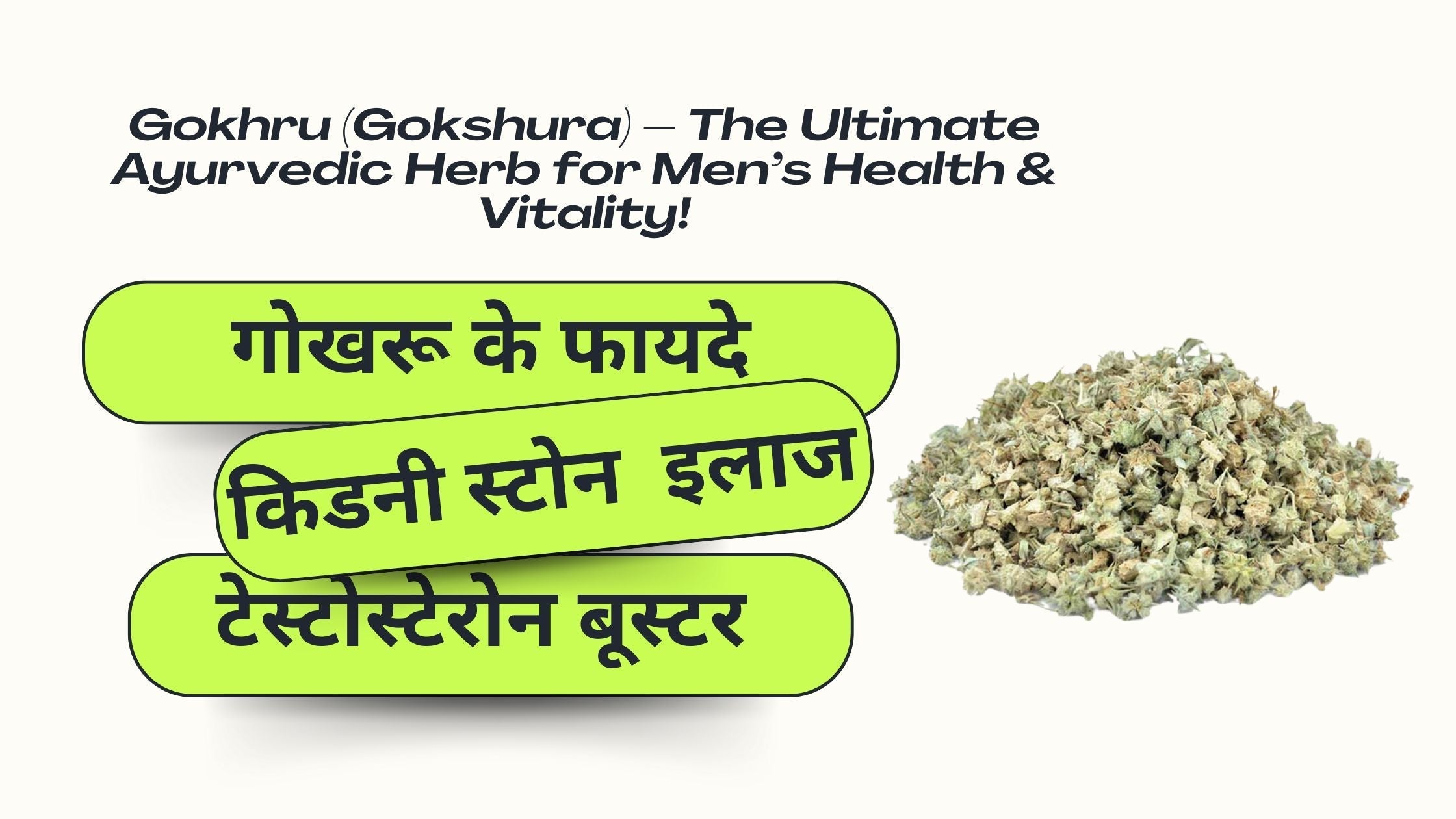Gokhru (Gokshura) – Complete Guide with Benefits, Side Effects