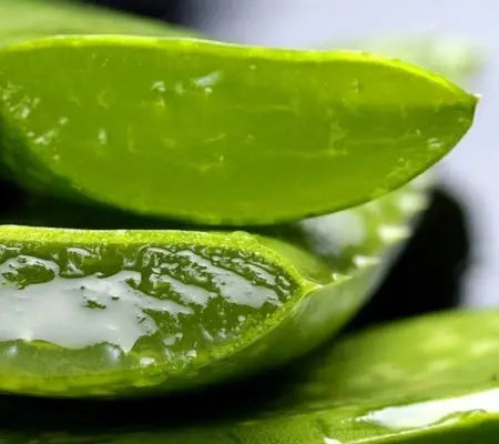 How can I prevent my skin from aging? - Nutrixia Food