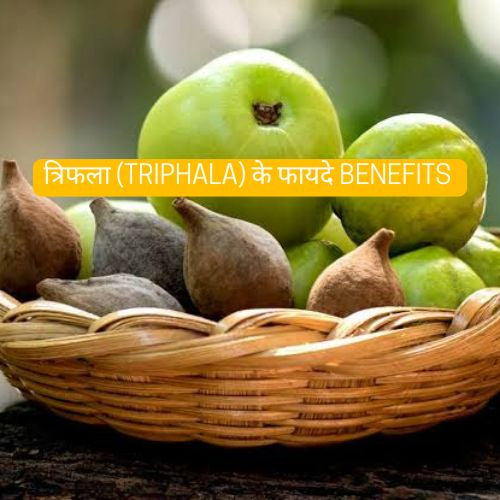 त-र-फल-Triphala-क-फ-यद-उपय-ग-अन-य-न-म-और-अक-सर-प-छ-ज-न-व-ल-प-रश-न-FAQs Nutrixia Food