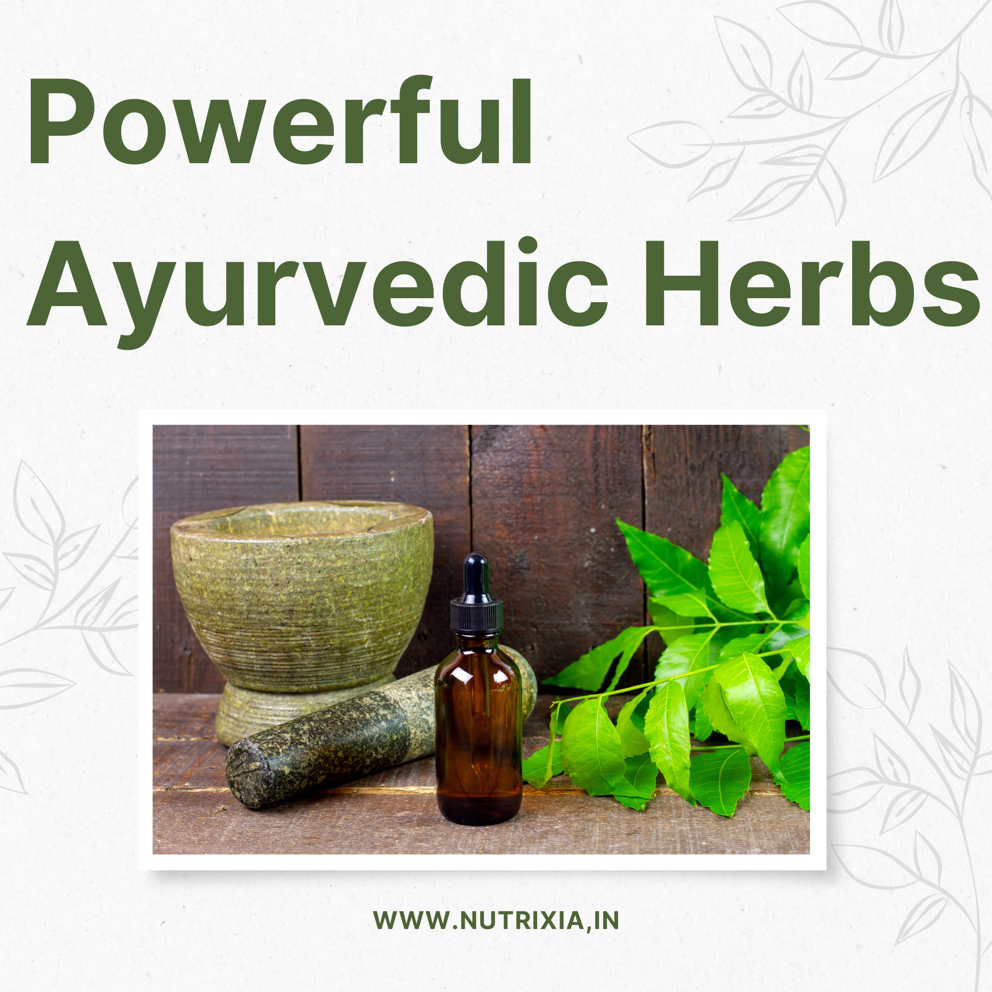 Powerful Ayurvedic Herbs