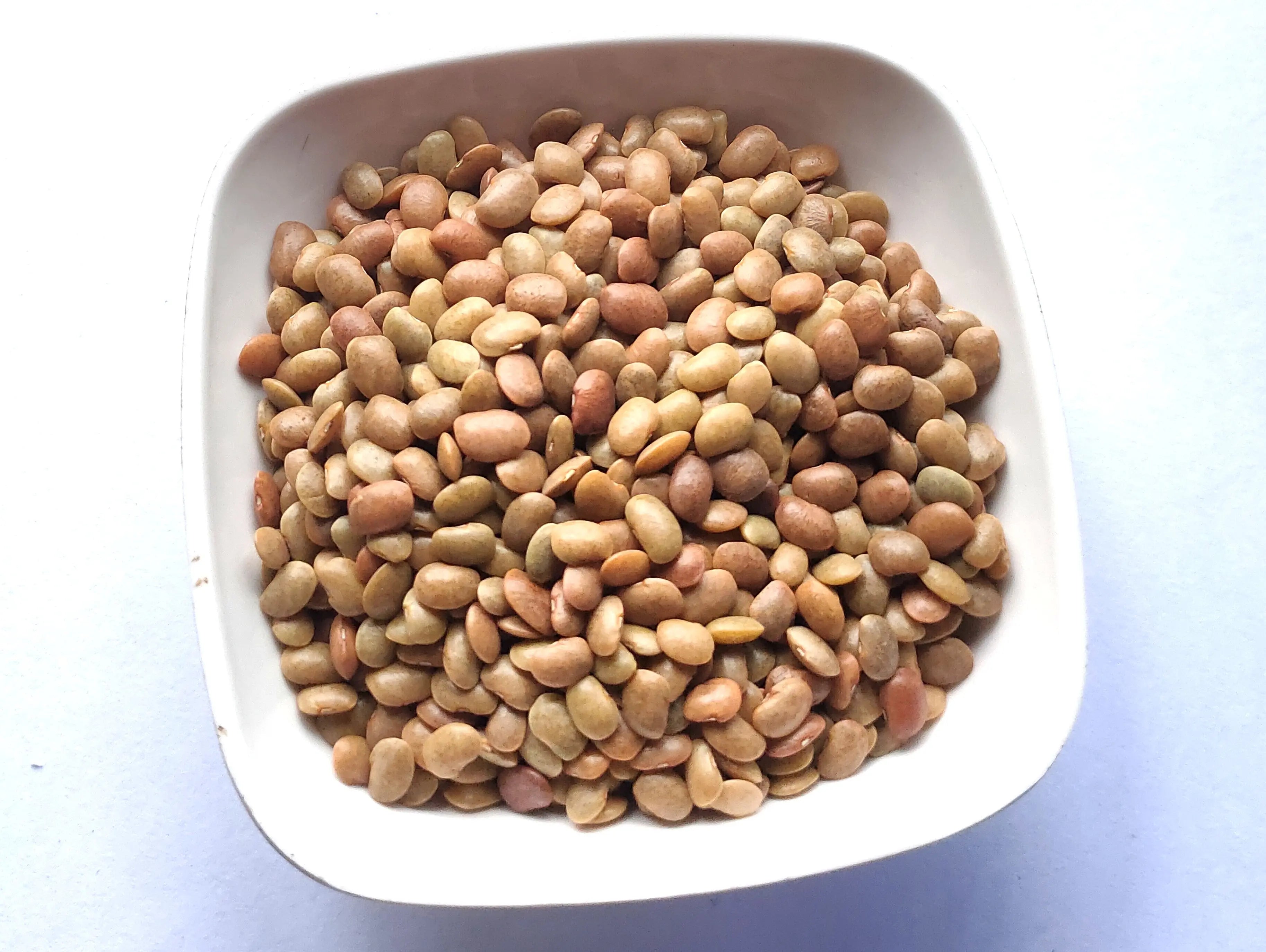 What are Benefits of Kulthi dal? - Nutrixia Food