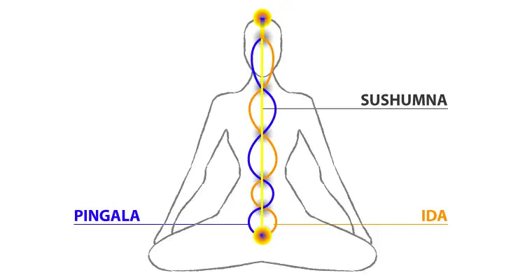 What are Pingala Nadi and Ida Nadi, and what is their significance in day-to-day life? Nutrixia Food