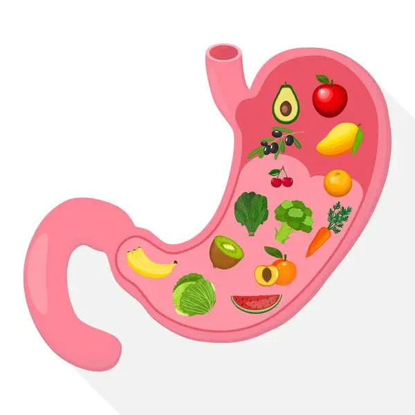 What are home made remedies for digestion for each dosha type of body? Nutrixia Food