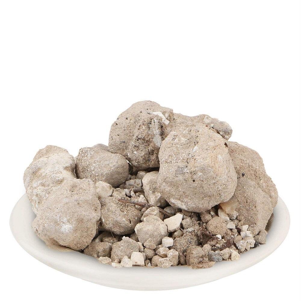 What are Benefits / Fayde of Banslochan ? Side effects ? FAQ