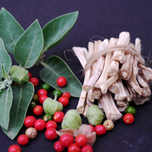 Ayurvedic Raw - Nutrixia Food