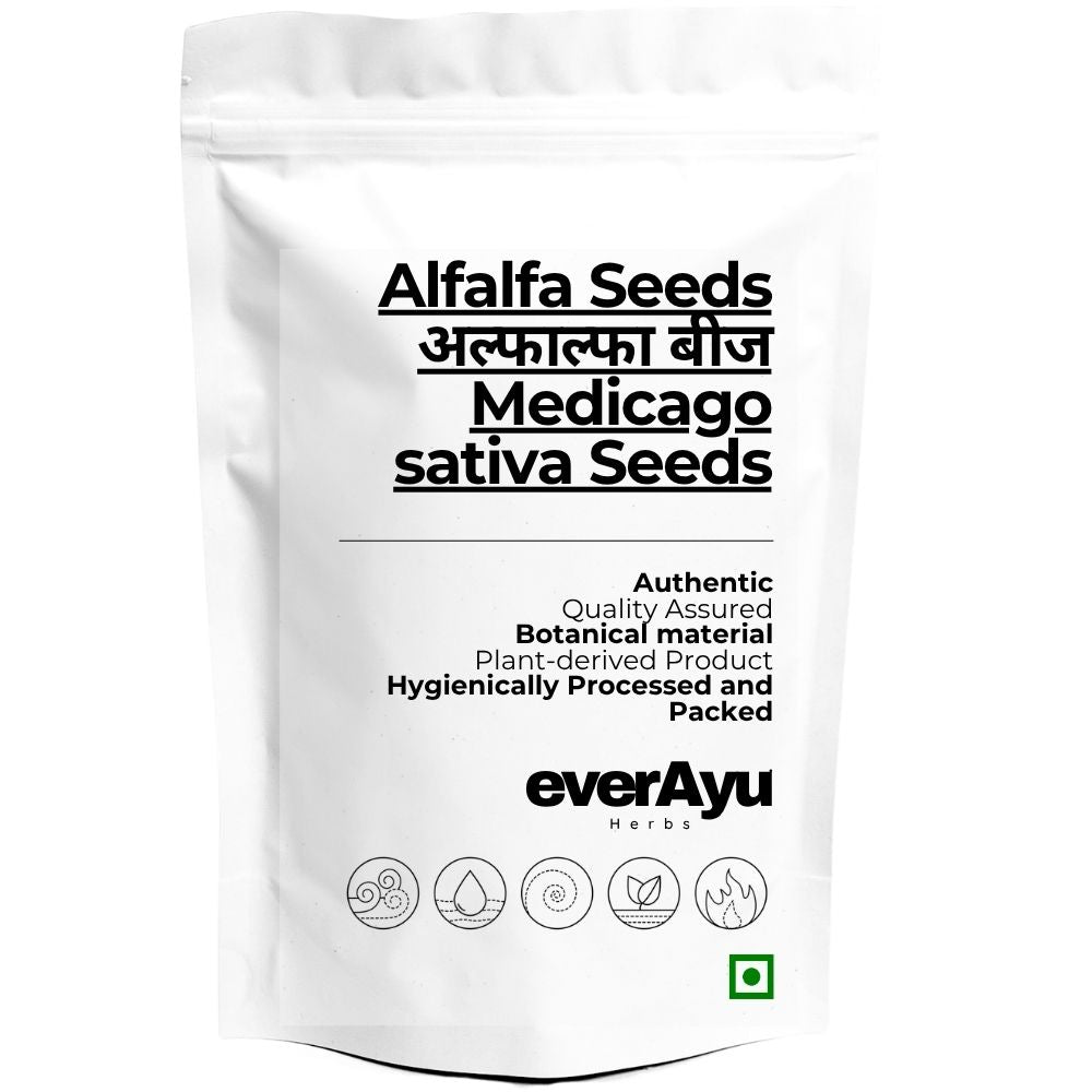 Alfalfa Seeds | अल्फाल्फा बीज | Medicago sativa Seeds | Whole Alfalfa Seed everAyu