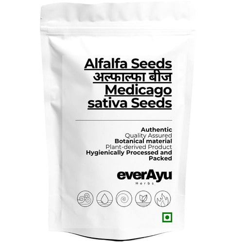 Alfalfa Seeds | अल्फाल्फा बीज | Medicago sativa Seeds | Whole Alfalfa Seed everAyu