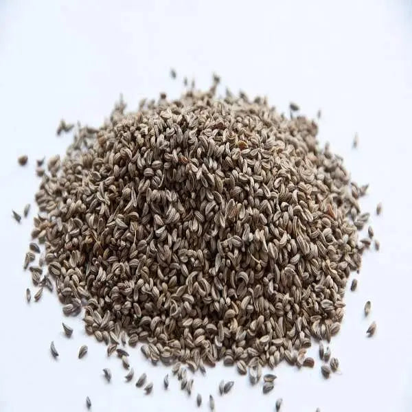 Celery Seed /  अजमोदा के बीज /  graveolens opium /Ajmoda/Ajmod Scientific Name A graveolens opium Celery seed beej : Oregano, :Ajmuda, Ajmod,:Dipyaka, :Ajmod, : Valjawain, Ajmod, :Randhuni, Banyamani, :Bonjamani, Bonajain, Yamani, Ajowan, :BodiAjamo, Ajamo, : Oma, Ajavana, Omakki, :Fakhazur, Banjuan, :Ayamodakum, Omam, :Ajmoda, Oova, :Banajuani, :Omam, :Naranjivamu