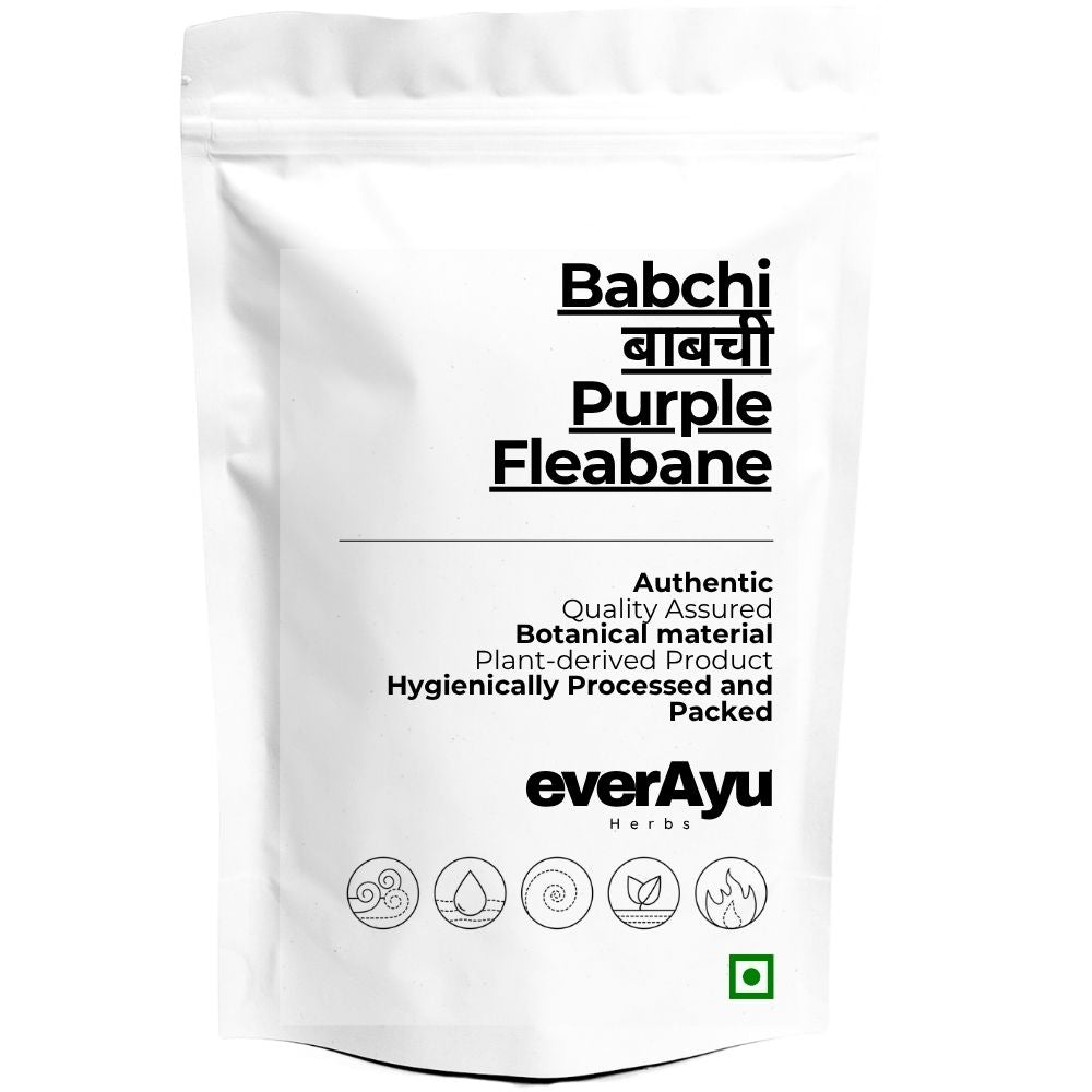 Babchi Whole | बाबची | Purple Fleabane | Psoralea corylifolia Seeds | Bakuchi Whole Seeds everAyu