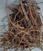 Bargad Ki Dadhi - Banyan Aerial Roots - Bar Ki Dari - Badh Ki Dadhi - Ficus benghalensis Nutrixia Food