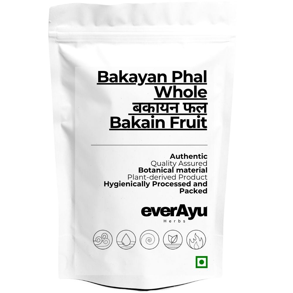 Bakayan Phal Whole | बकायन फल | Bakain Fruit | Mahanimba Phal | Melia azedarach Fruit | Whole everAyu