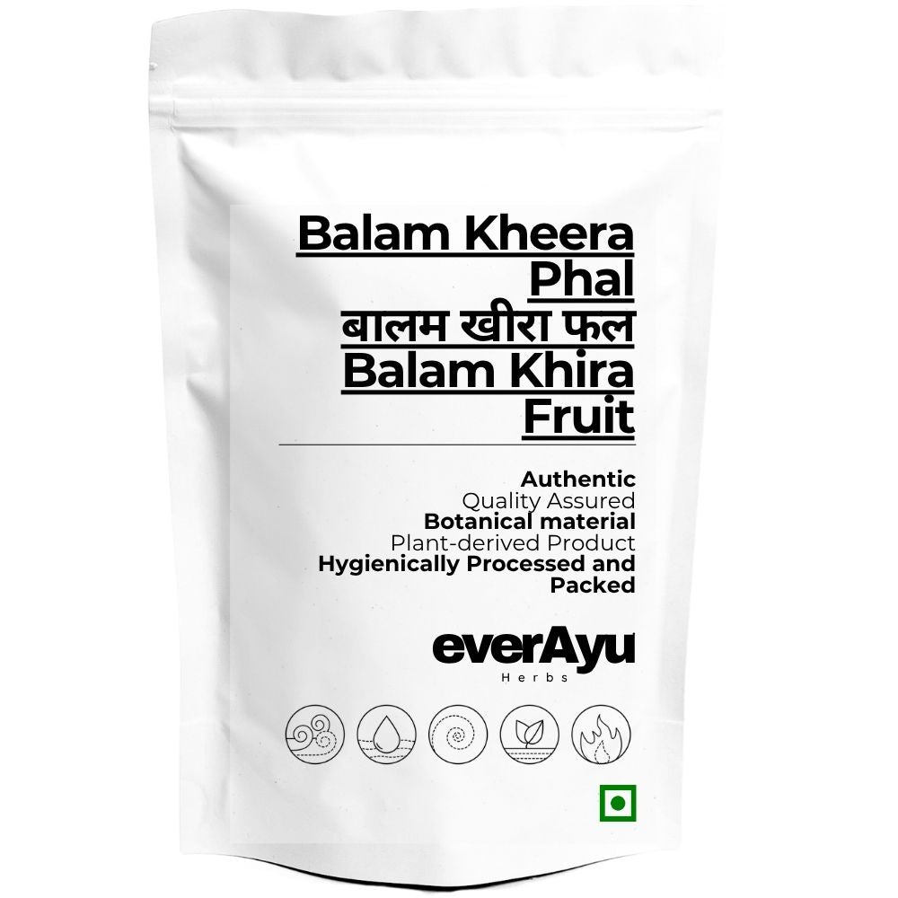 Balam Kheera Phal Whole | बालम खीरा फल | Balam Khira Fruit | Kigelia africana Fruit | Raw Herbal Fruit | Whole everAyu