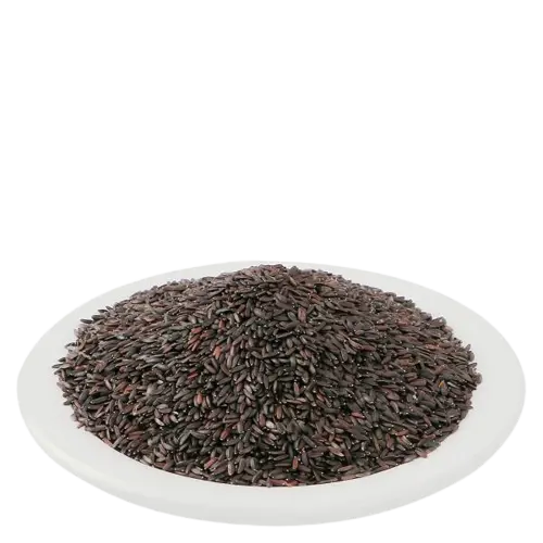 Balanga Seeds (Tulsi Balanga / Tukh Malanga) – Raw Seeds used in Ayurveda for cooling and digestion