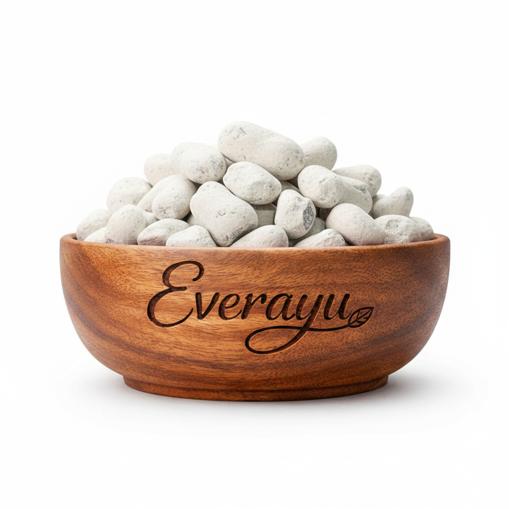 Natural Ber Pathar (बेर पत्थर / Fossil Encrinite) – Ayurvedic mineral in raw form.