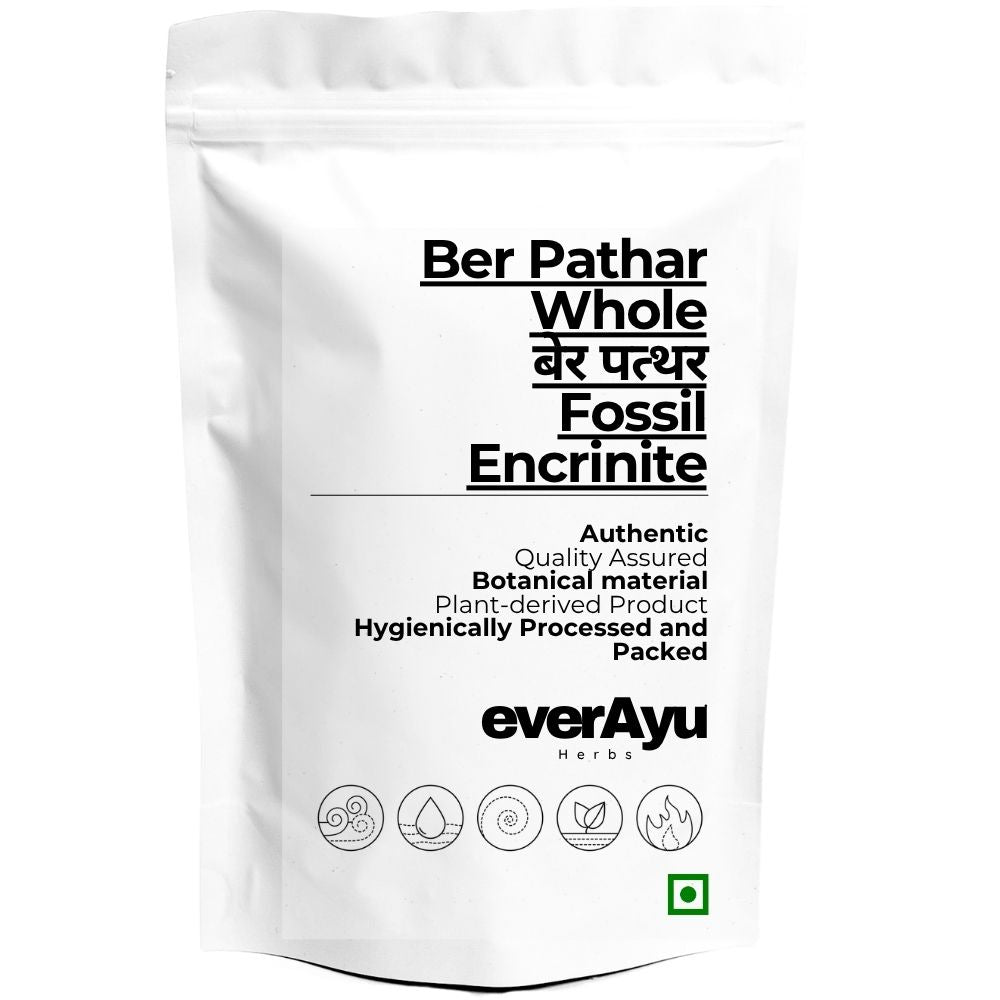 Ber Pathar Whole | बेर पत्थर | Fossil Encrinite | Calcined Lime Silicate | Natural Mineral Stone | Whole everAyu