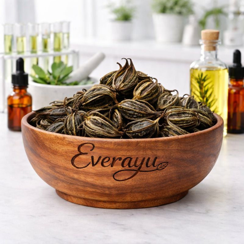 Authentic Bichhu Phal (Devil’s Claw) raw herb – traditionally used in Ayurveda for wellness and herbal remedies