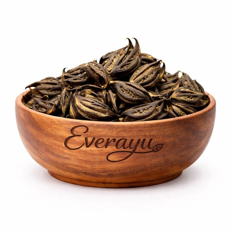 Authentic Bichhu Phal (Devil’s Claw) raw herb – traditionally used in Ayurveda for wellness and herbal remedies