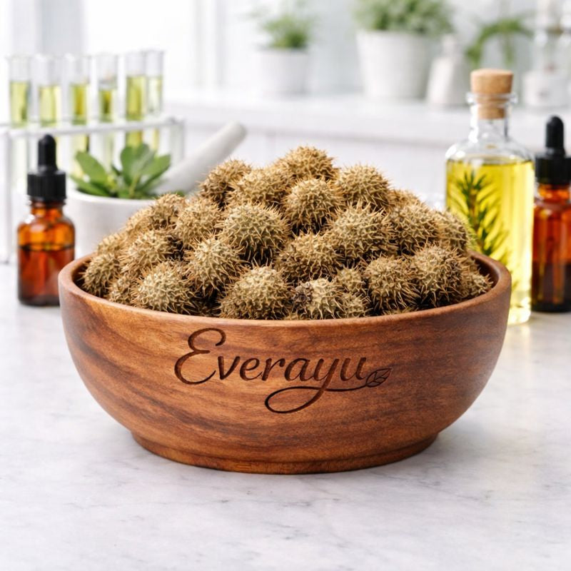 Bindaal Doda (Devdali / Luffa echinata) – 100% pure dried Ayurvedic herb traditionally used for internal balance and cleansing.