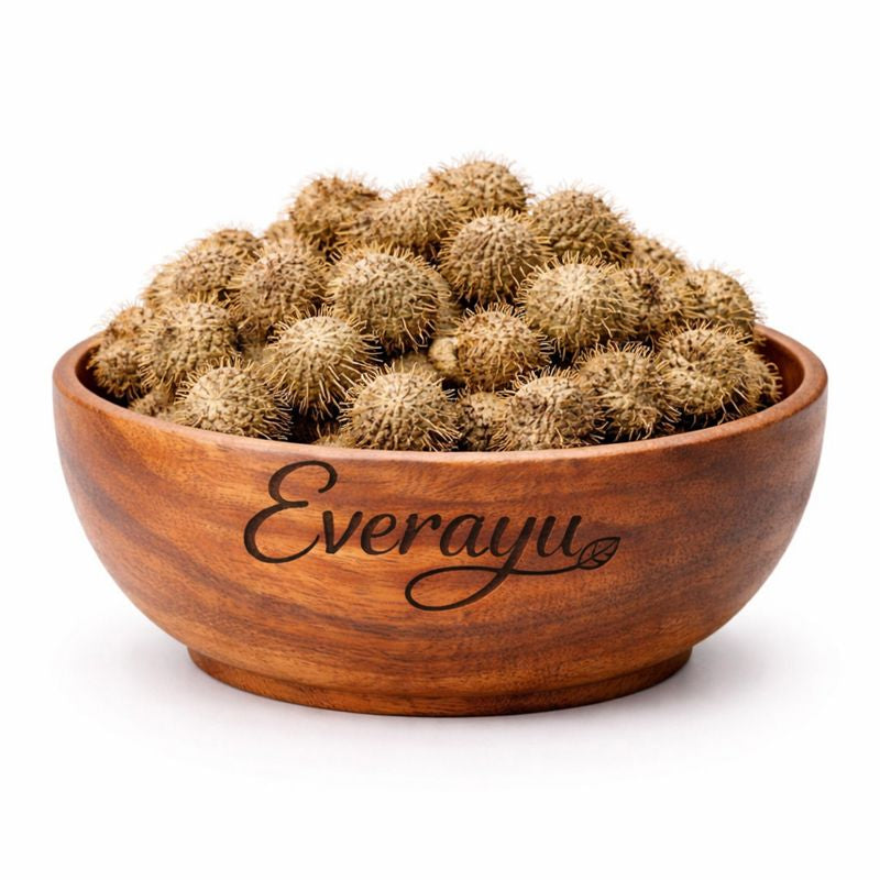 Bindaal Doda (Devdali / Luffa echinata) – 100% pure dried Ayurvedic herb traditionally used for internal balance and cleansing.