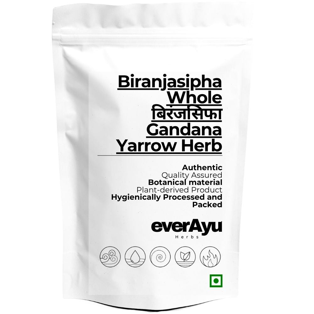 Biranjasipha Whole | बिरंजसिफा | Gandana | Yarrow Herb | Milfoil | Achillea millefolium | Whole Dried Herb everAyu