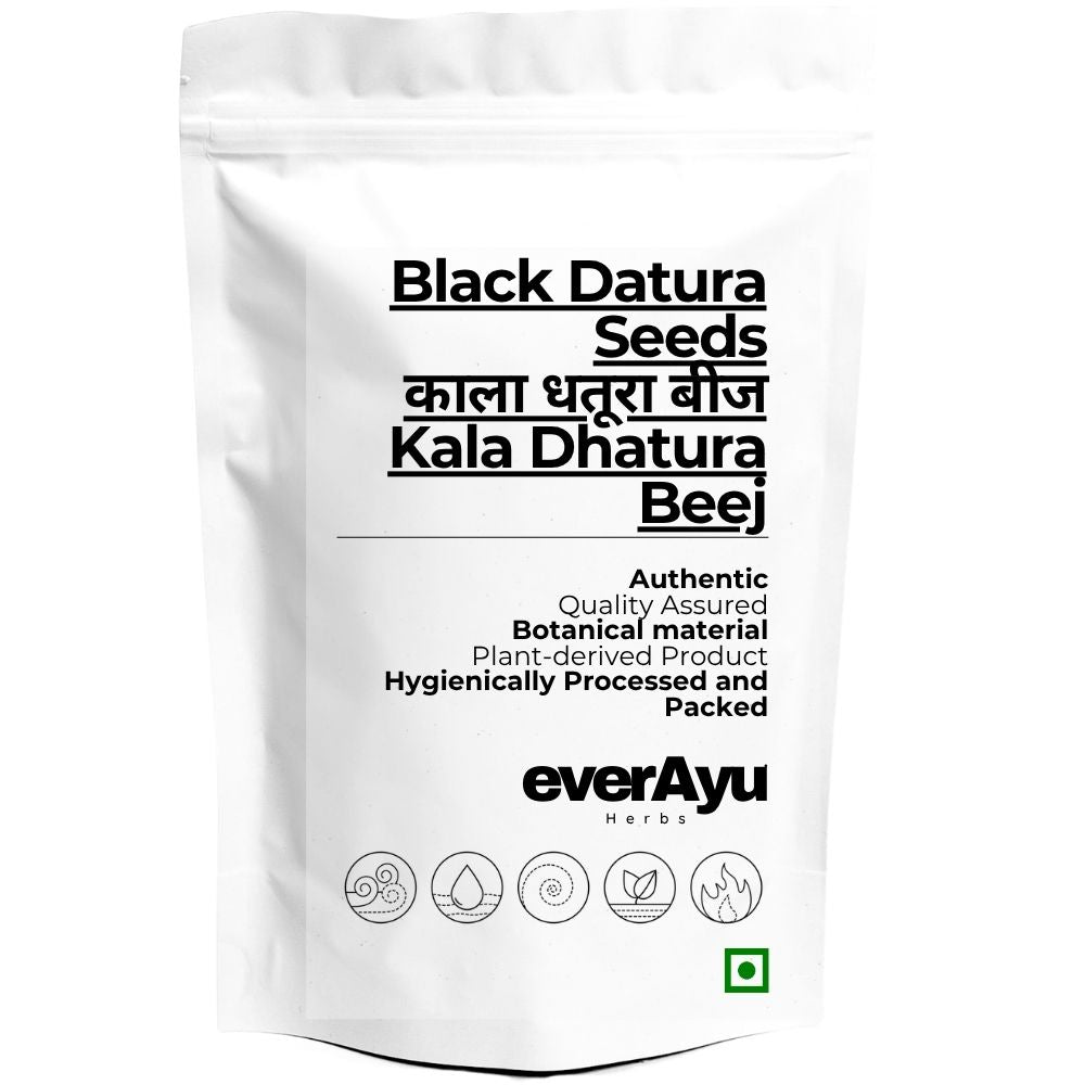 Black Datura Seeds Whole | काला धतूरा बीज | Kala Dhatura Beej | Datura stramonium Seeds | Thorn Apple Seeds | Whole Botanical Seeds everAyu