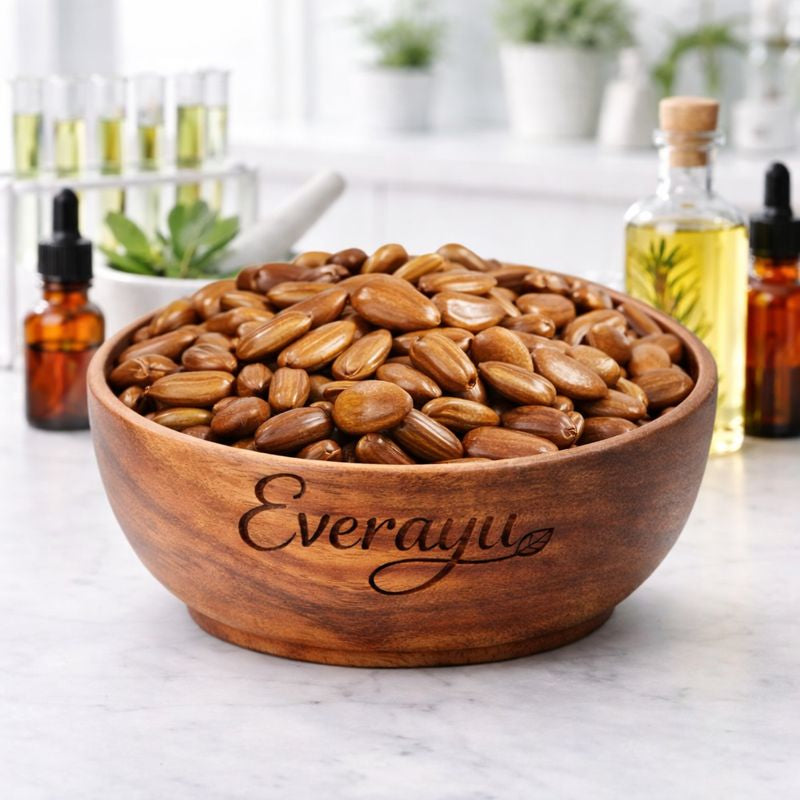 Pure Borsali Seeds (Bakul Beej / Maulsari / Mimusops elengi) – raw Ayurvedic seeds traditionally used in Ayurveda, rituals, and folk remedies