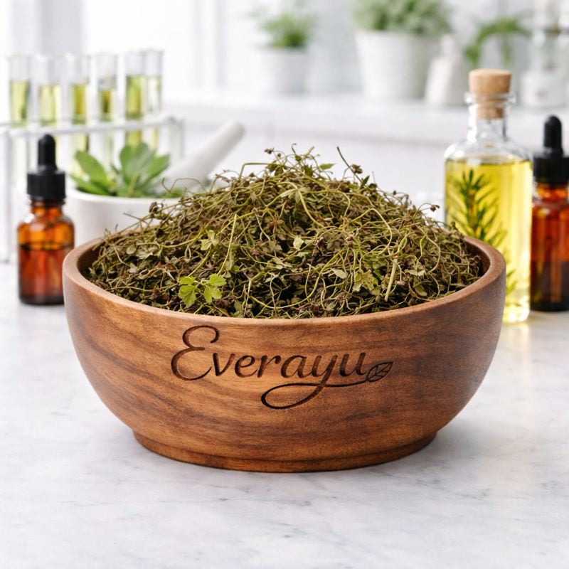 “Pure Brahmi (Centella asiatica / Indian Pennywort) – raw Ayurvedic herb traditionally used for memory, focus, vitality, and rejuvenation.”