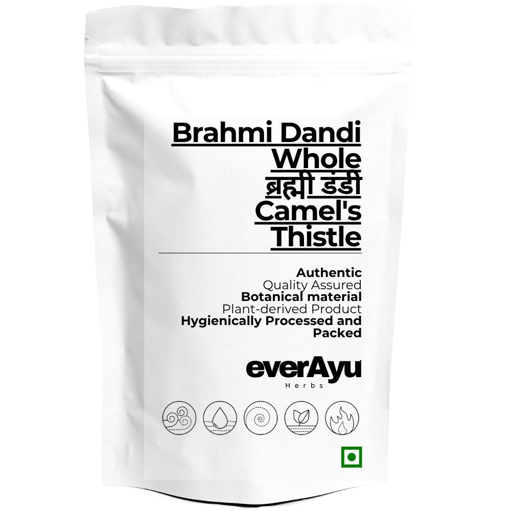 Brahmi Dandi Whole | ब्रह्मी डंडी | Camel's Thistle | Tricholepis angustifolia | Whole Herb Stem Material everAyu