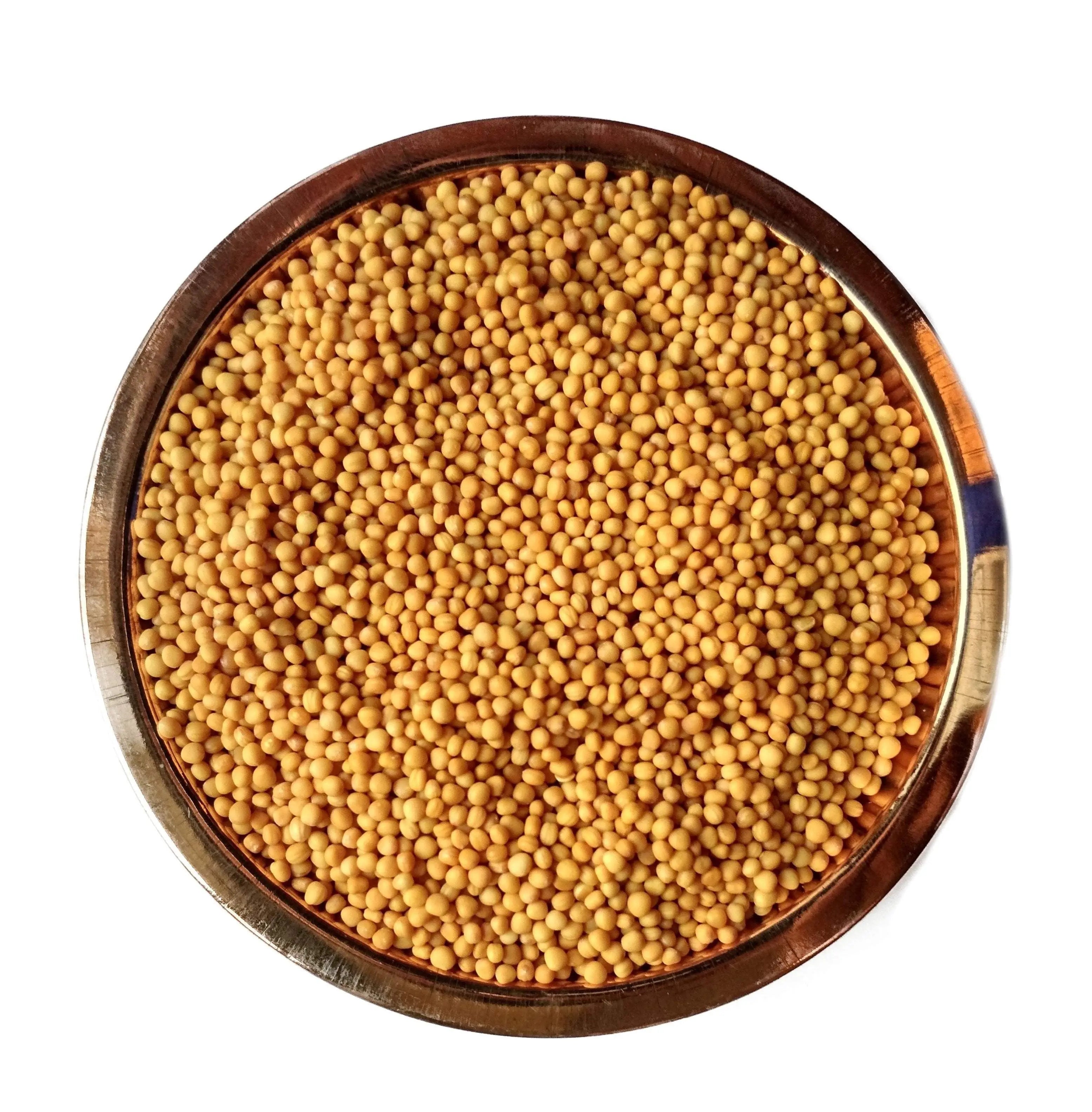 Yellow Mustard Seeds (पीली सरसों), also known as Brassica alba or White Mustard, are aromatic Ayurvedic seeds used for warmth and balance. Other names include Rajika (Sanskrit), Kadugu (Tamil), Avalu (Telugu), Sasive (Kannada), and Sorsher Beej (Bengali)