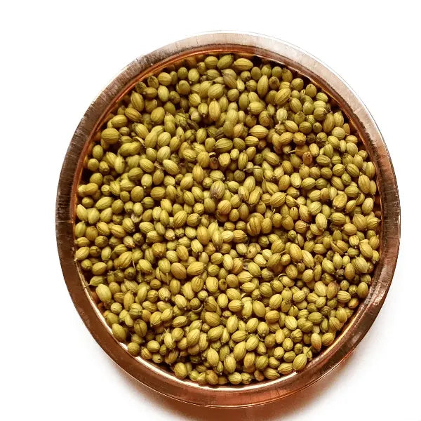 Coriander Seed / धनिया / Dhaniya /  Coriandrum sativum