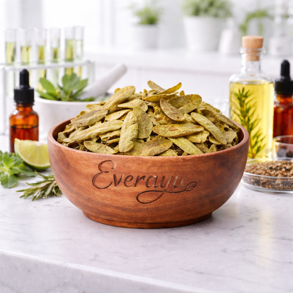 Curry Leaves / करी पत्ते / Kari Patte / Murraya koenigii - Whole everAyu