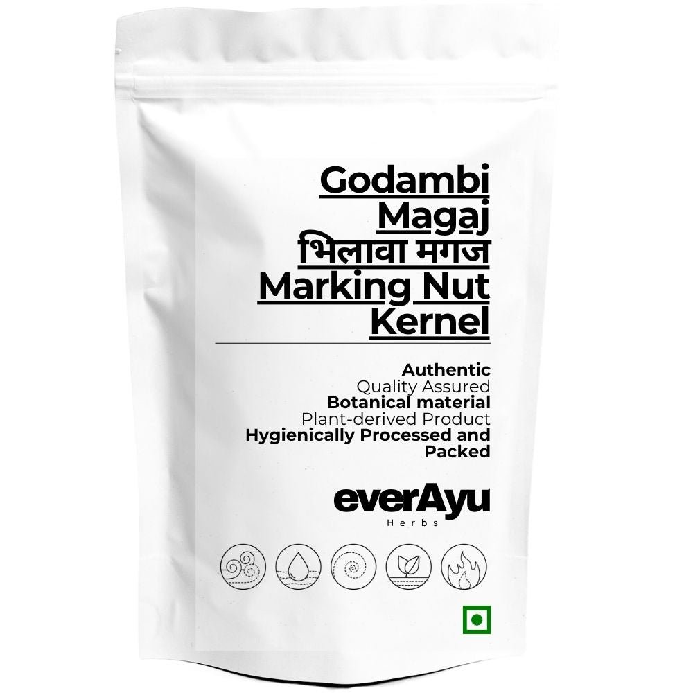 Godambi Magaj Whole | भिलावा मगज | Biba Magaj | Marking Nut Kernel | Semecarpus anacardium Seed Kernel | Whole Botanical Kernel everAyu