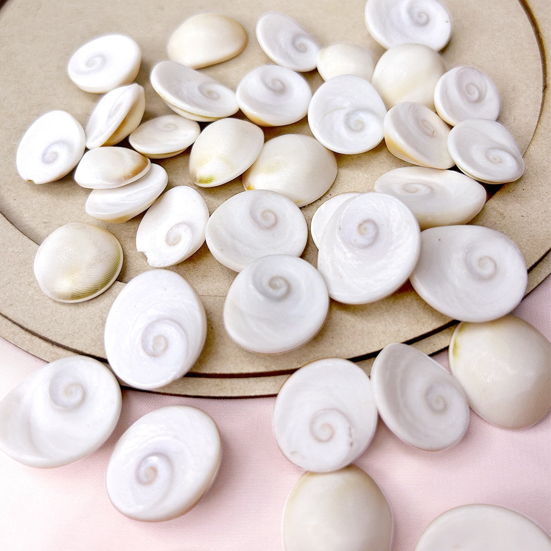 Gomati-Gomti Chakra Original for Puja (White)   Gomti Chakra (Good Shape and No Damage)-Stoneware Gomti Chakra - Sudarshan Chakra - Natural Gomti Chakra