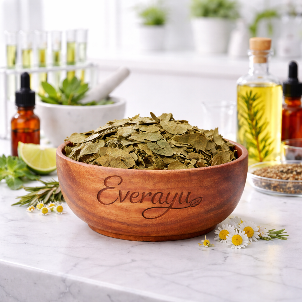 Gudmar / Gurmar / गुरमर / Gymnema sylvestre / Periploca Of The Woods - Whole everAyu