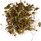 Gulbanafsha - Gul Banpsa - Viola Odorata - Sweet Violet -Gul banafsha
