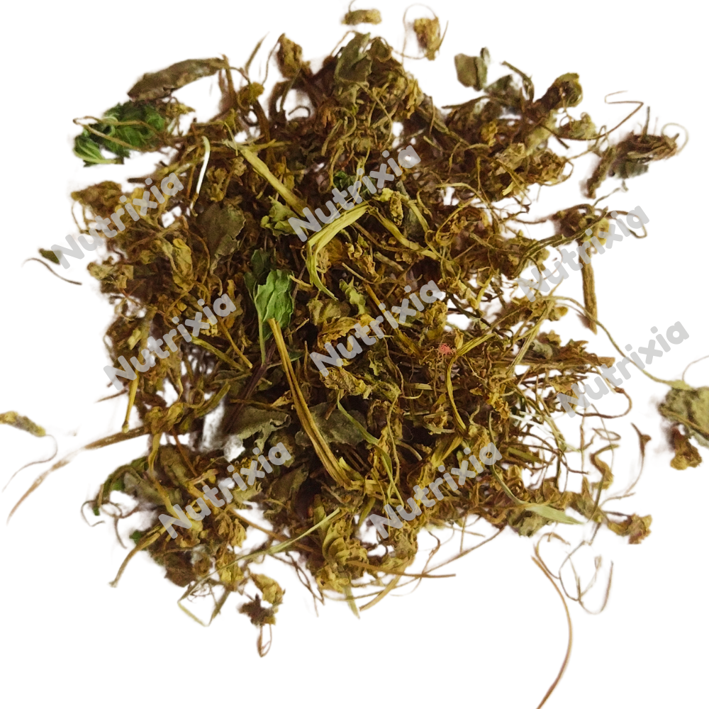 Gulbanafsha - Gul Banpsa - Viola Odorata - Sweet Violet -Gul banafsha